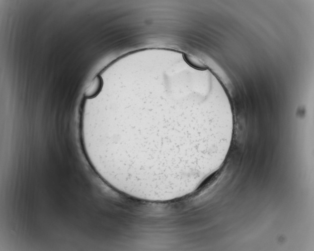 X0000102861096200809151205