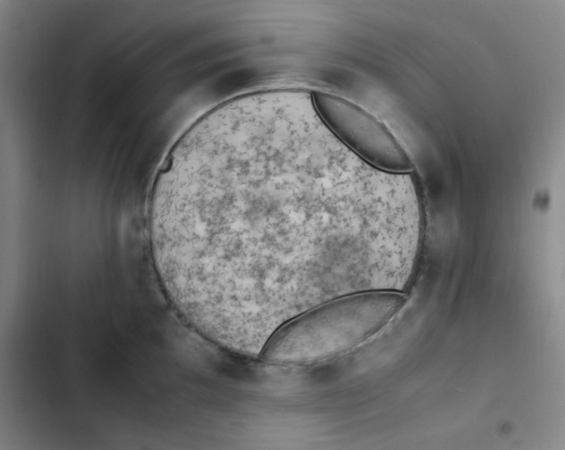 X0000102861097200809151205