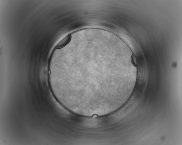 X0000102861100200809151205