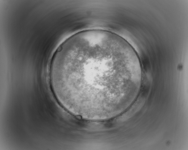 X0000102861101200809151205