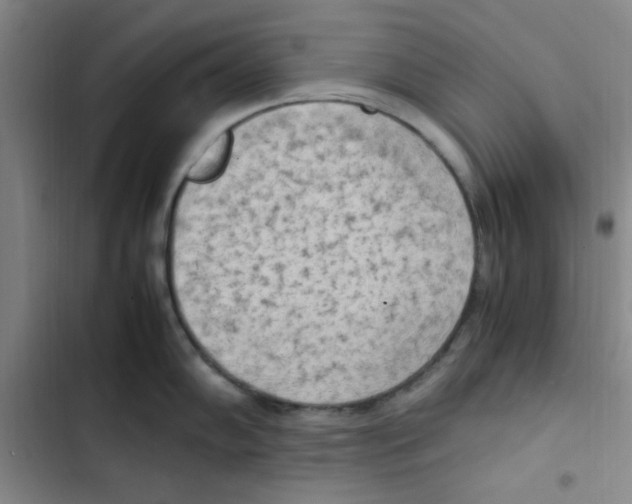 X0000102861102200809151205