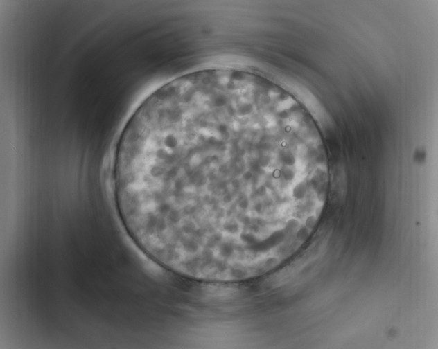 X0000102861103200809151205