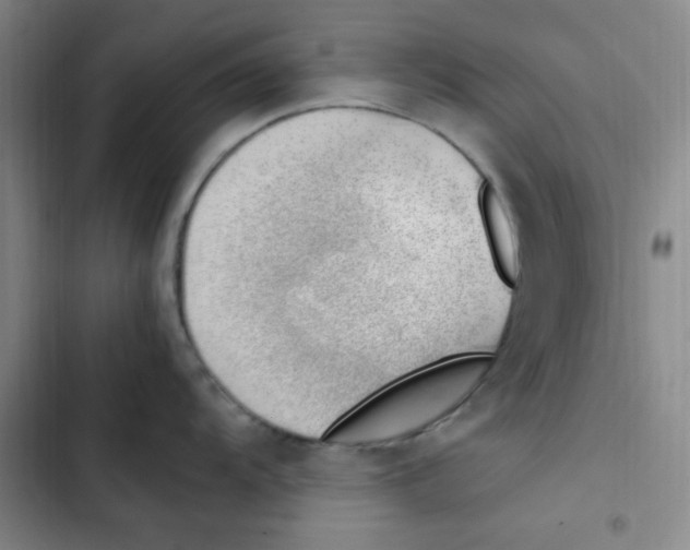 X0000102861104200809151205