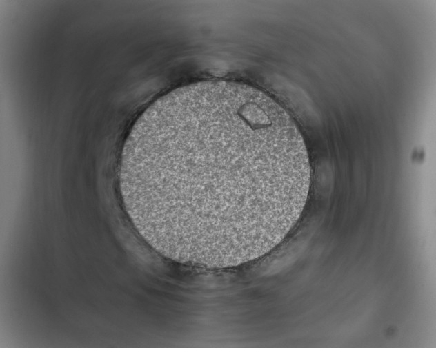 X0000102861105200809151204