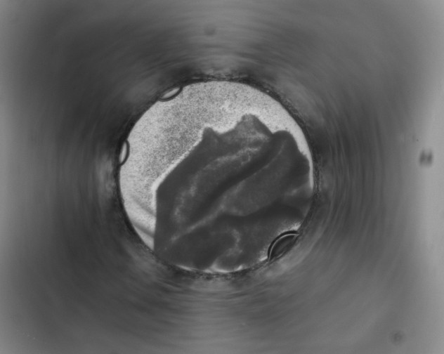 X0000102861106200809151204