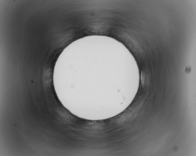 X0000102861107200809151204