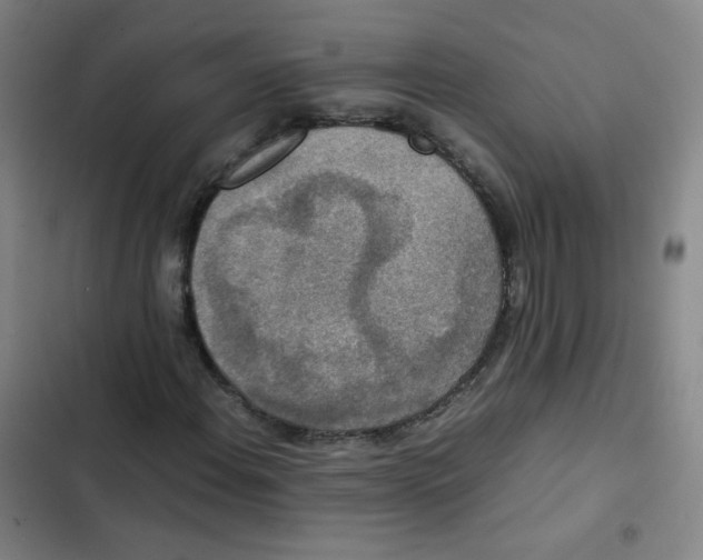 X0000102861108200809151204