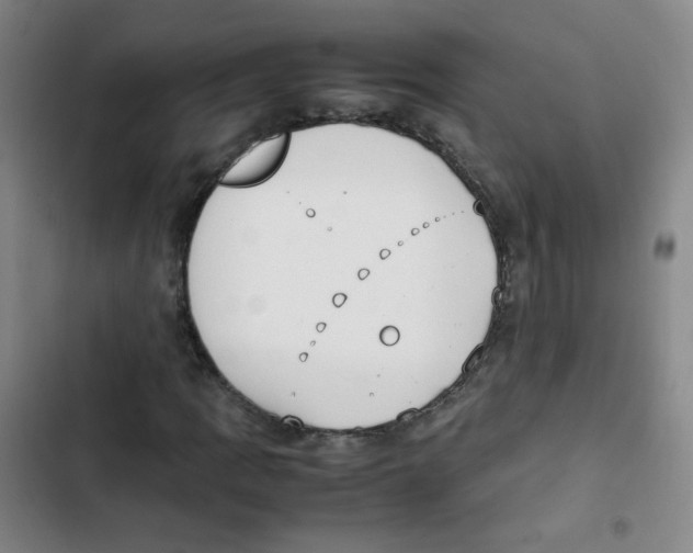 X0000102861109200809151204