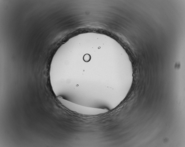 X0000102861110200809151204