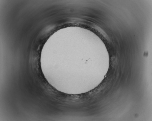 X0000102861111200809151204