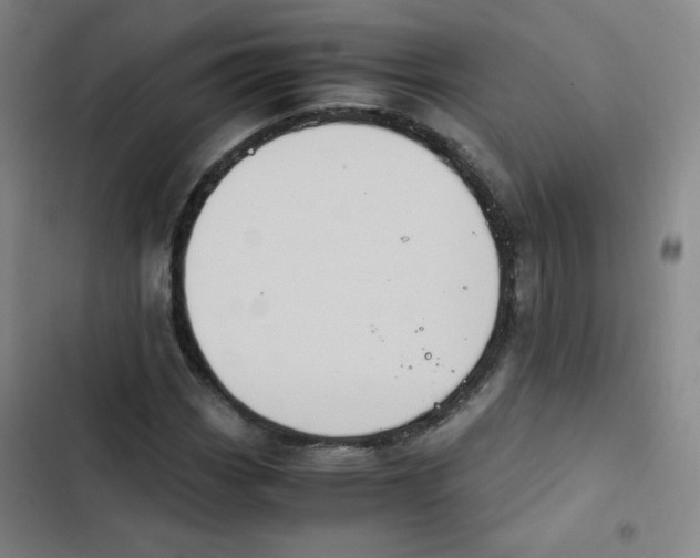 X0000102861113200809151204