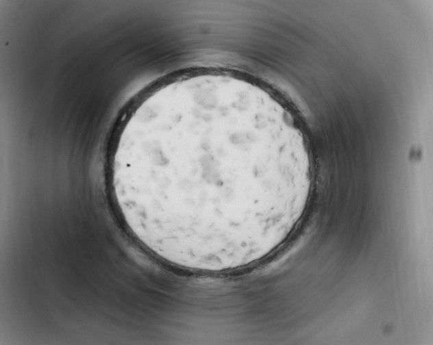 X0000102861114200809151204