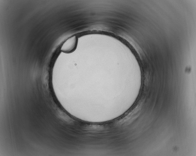 X0000102861115200809151204