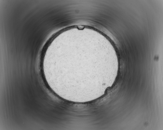 X0000102861116200809151204