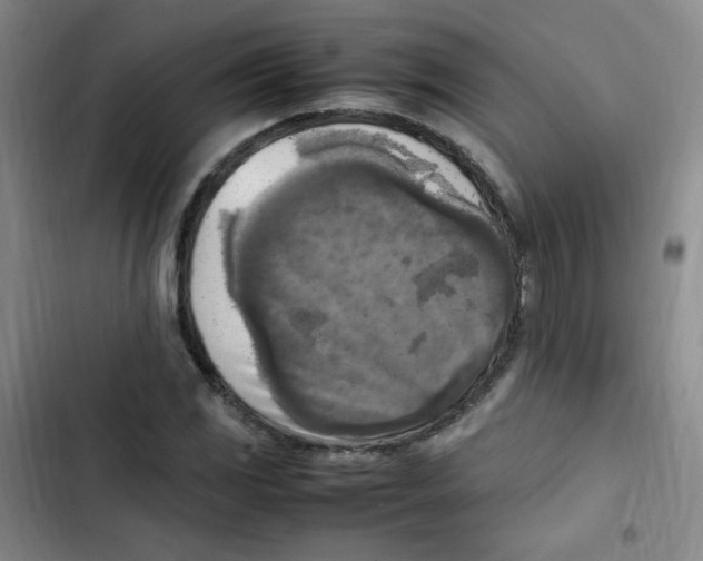 X0000102861117200809151204