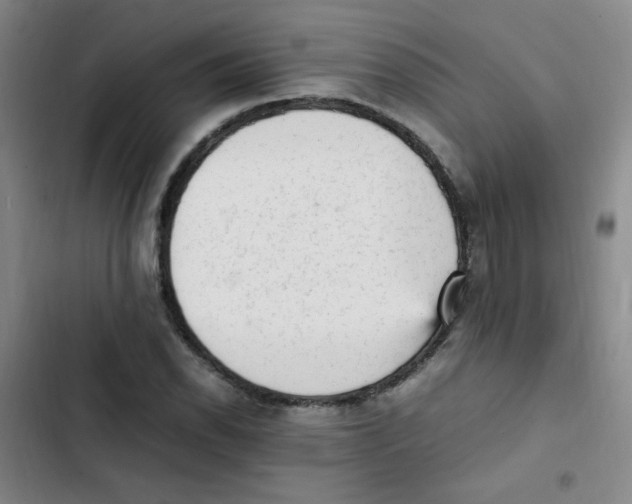 X0000102861118200809151204