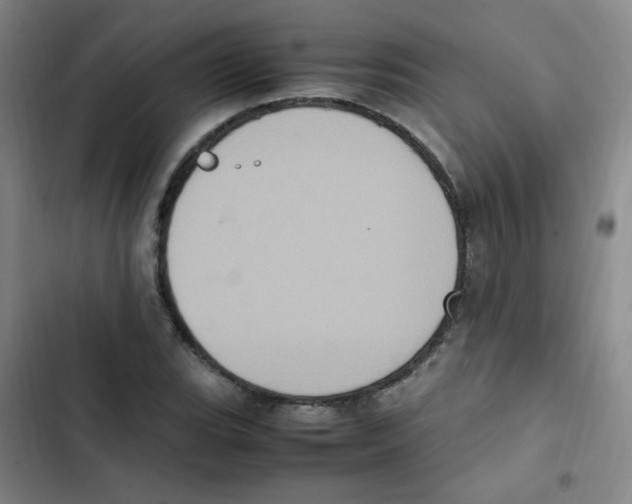 X0000102861119200809151204