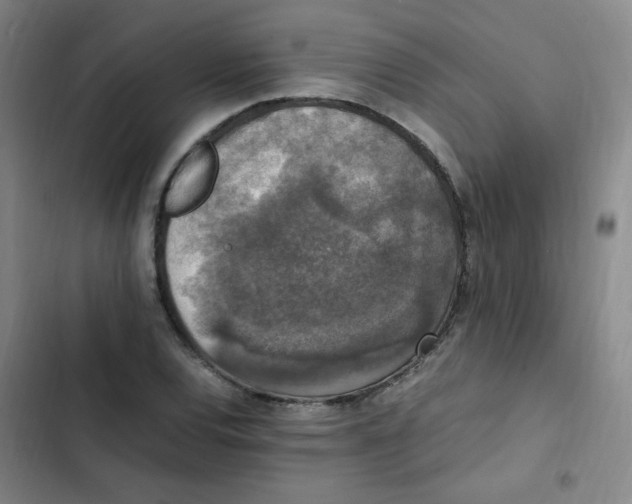 X0000102861120200809151204