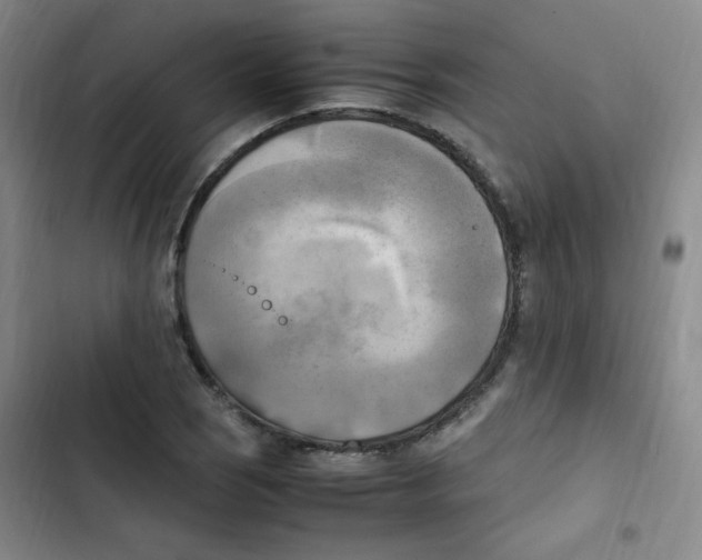 X0000102861121200809151204