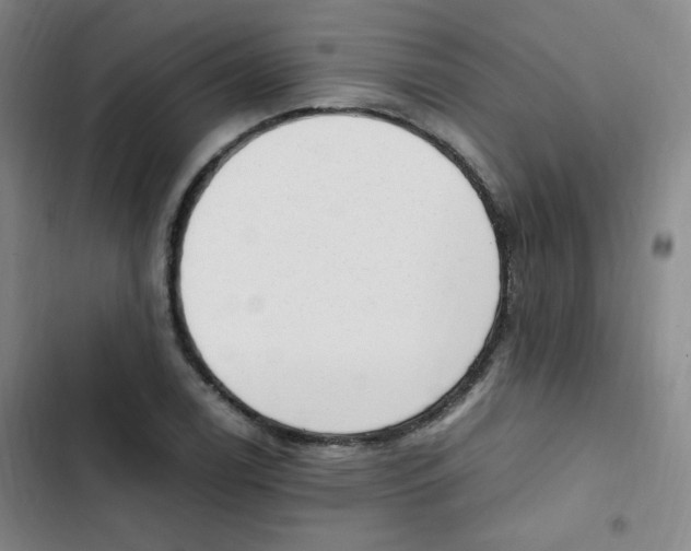 X0000102861122200809151204