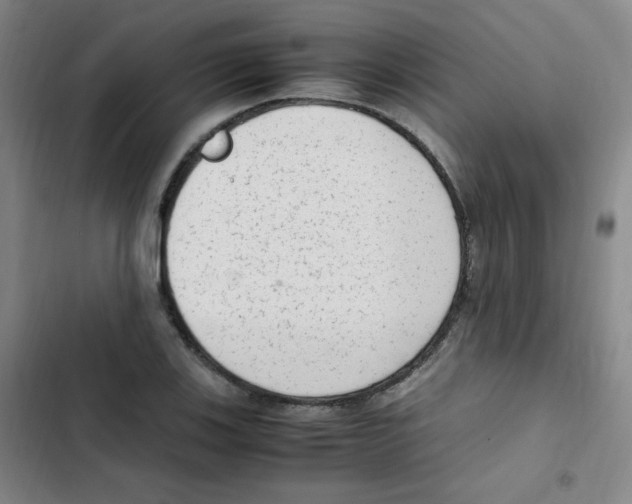 X0000102861123200809151204