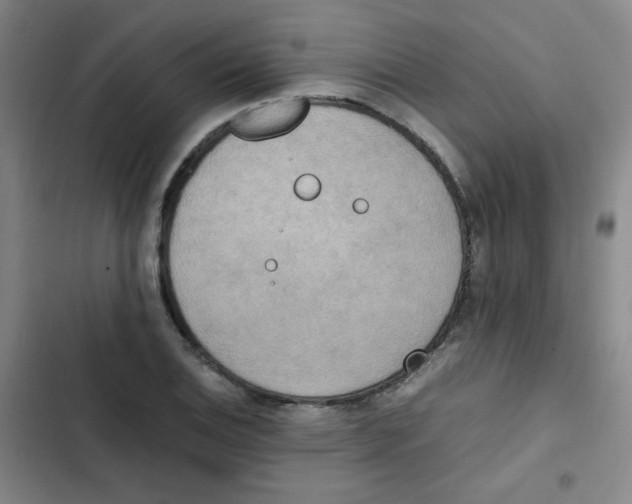 X0000102861124200809151204