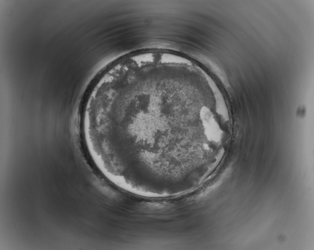 X0000102861125200809151204