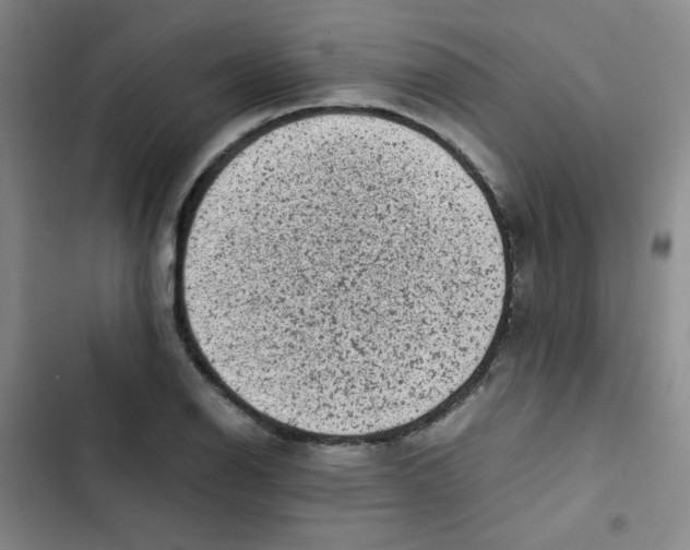 X0000102861126200809151204