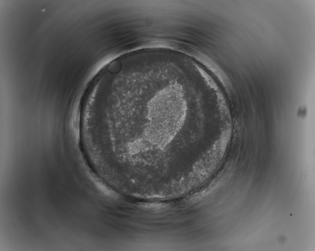 X0000102861127200809151204