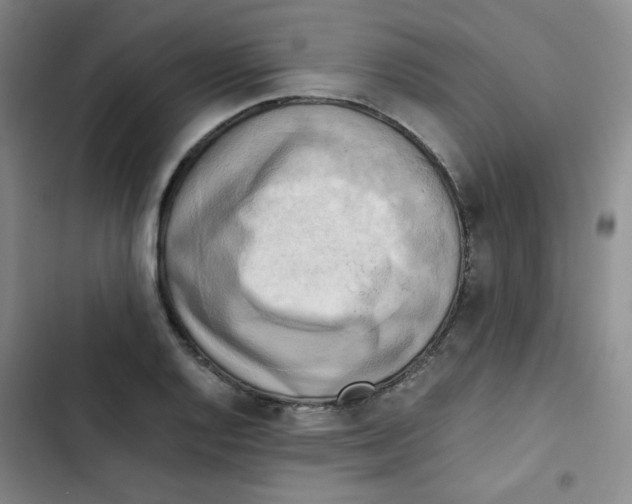 X0000102861128200809151204