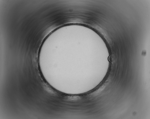 X0000102861129200809151204