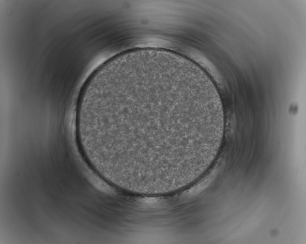 X0000102861130200809151204