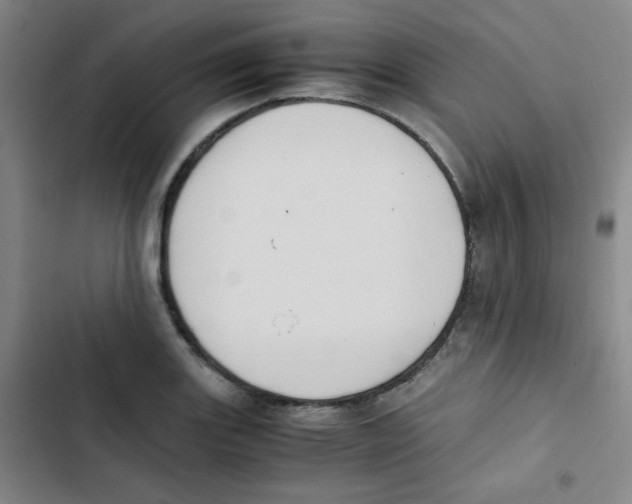 X0000102861131200809151204