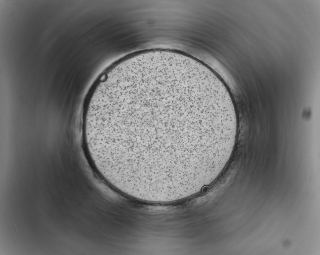 X0000102861132200809151204