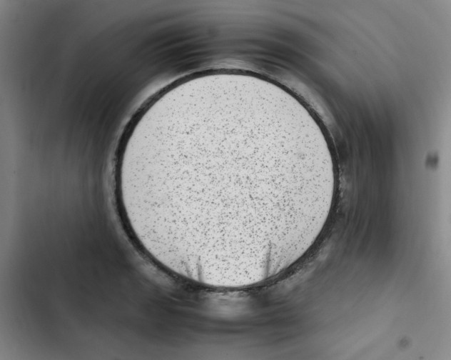 X0000102861133200809151204