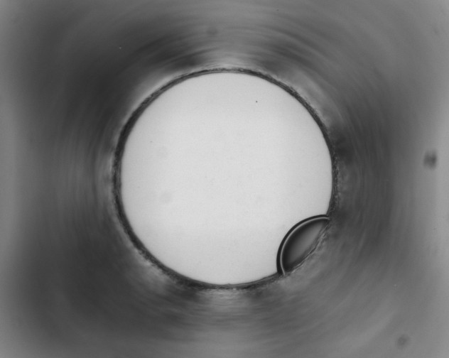 X0000102861134200809151205