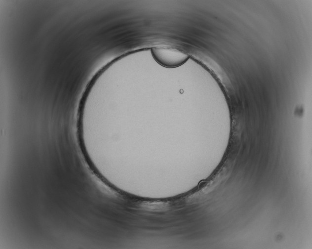 X0000102861135200809151205