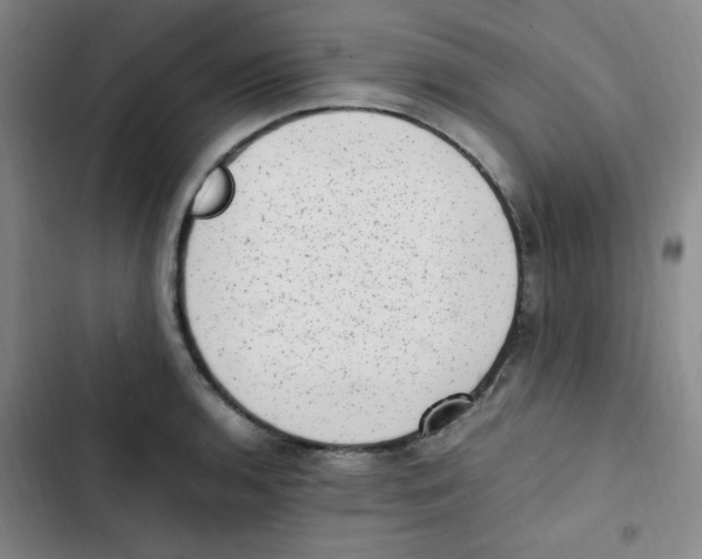 X0000102861136200809151205