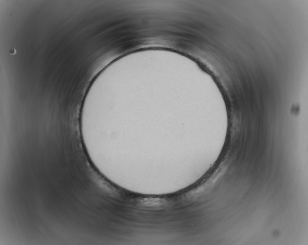 X0000102861137200809151205