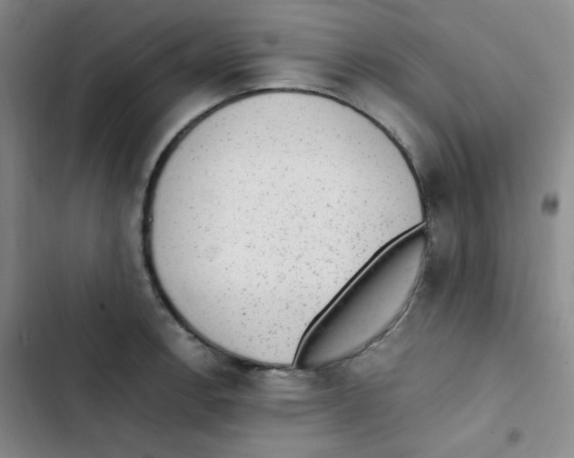 X0000102861138200809151205