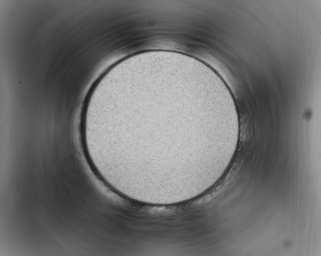 X0000102861139200809151205