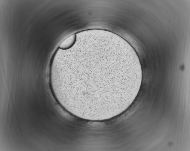 X0000102861140200809151205