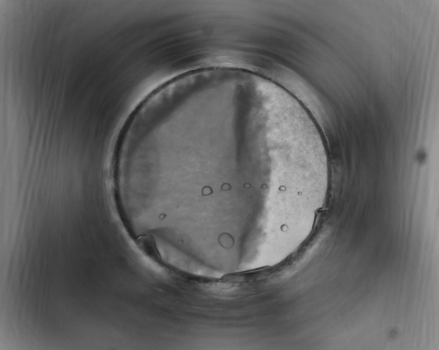 X0000102861141200809151205