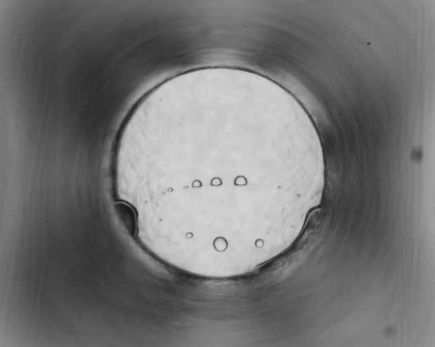 X0000102861142200809151205