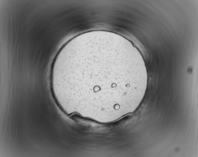 X0000102861143200809151205