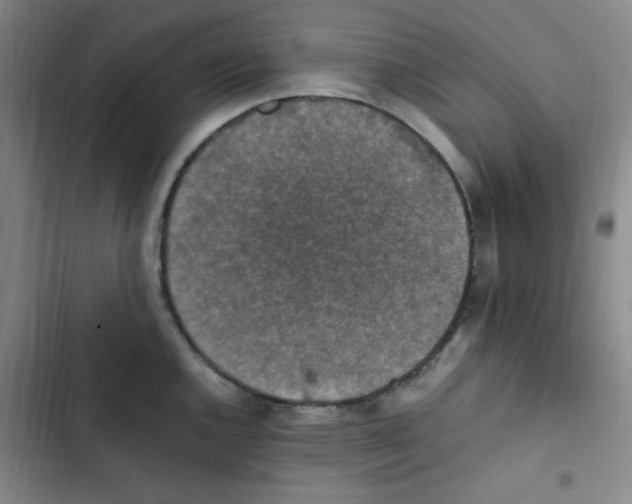 X0000102861144200809151205