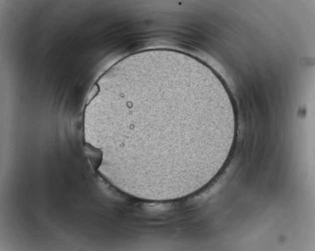 X0000102861145200809151205