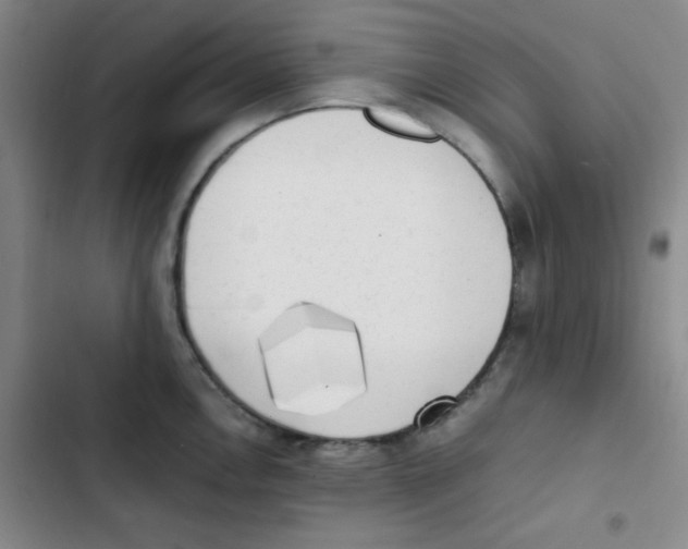 X0000102861146200809151205