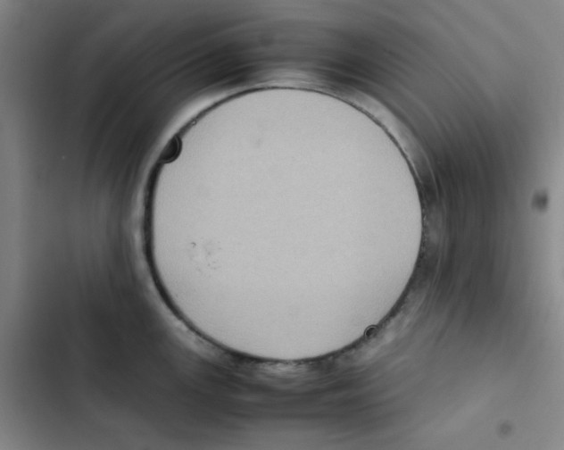 X0000102861147200809151205