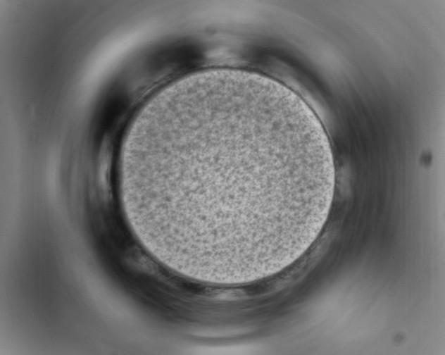 X0000102861150200809151205